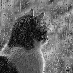 Константин Че, 06.06, Днепр (Днепропетровск)