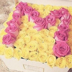 Малика Дачаева, 09.08.1990, Москва