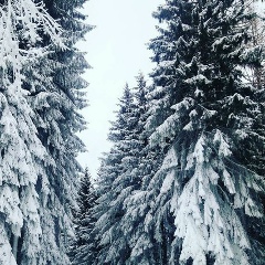 Данила Блюз, 27.06, Москва