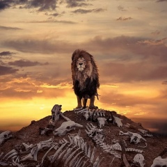 Амир Амиров, Москва