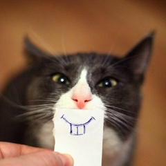 Артём Данiлов, 24.06, Los Angeles