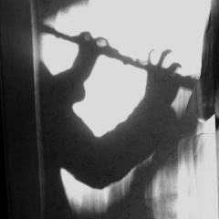 Светлана Вечкапова, 23.10, Новосибирск