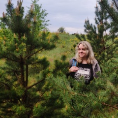Елена Никитина, Воронеж