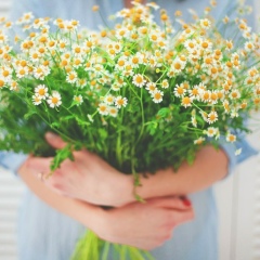 Елена Поткина, 27.08, Шексна (пгт)