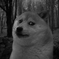 Лаура Штанг, 10.02.2000, Алматы