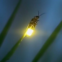 Оксана Ткачук, 14.09, Санкт-Петербург