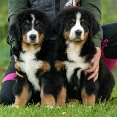 Ольчик Маркова, 26.06, Санкт-Петербург