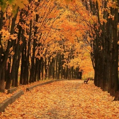 Андрей Зюзько, 01.01.1974, Санкт-Петербург