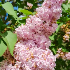 Тамара Васькова, 15.05.1987, Санкт-Петербург
