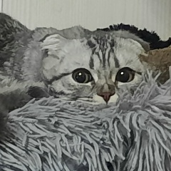 Дмитрий Мартынов, 18.01, Нелидово