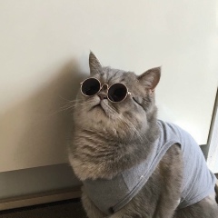 Жибек Алиева, 04.04