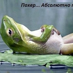 Елена Плотникова, 04.04, Санкт-Петербург