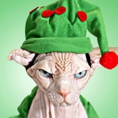 Вадим Малашенко, 20.01.1987, Минск