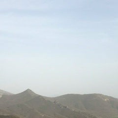 Дарья Горчакова, 21.05, Санкт-Петербург