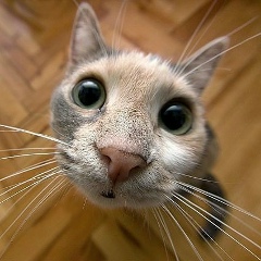 Анастасия Егорычева, 20.09, Иркутск