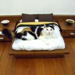 Аня Марусина, 15.12, Москва