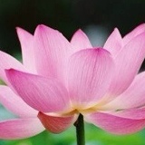 Айрана Ховалыг, 27.03.1988