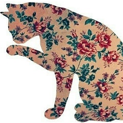 Kimo Kapoo, 26.07.1990, Ben Arous