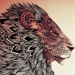 Хусеин Ибрагимов, 29.11