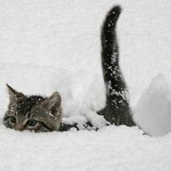 Ольга Панова, 05.10, Днепр (Днепропетровск)