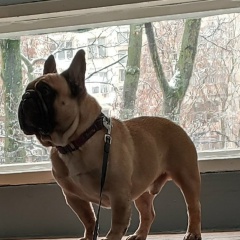 Наталья Масленникова, 07.03.1957, Санкт-Петербург