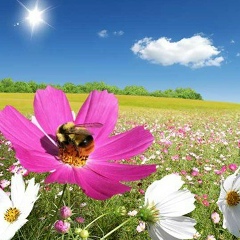 Назиля Хайдарова, 02.02, Магнитогорск