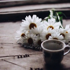 Юля Сопіла, 24.03, Львов