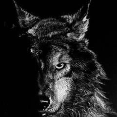 Жанболат Бахтыев, 07.09.1996, Бейнеу