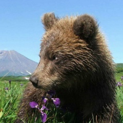 Леонид Курганов, 28.07, Москва
