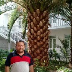 Улугбек Абдуллаев, 09.03, Ургенч