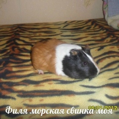 Валя Цибулина, 27.05, Иркутск