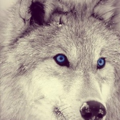 Нурлыбек Сагындыков, 14.12.1993, Алматы