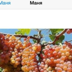 Акманат Жулдыбаева, 30.06.1978, Кызылорда