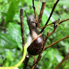 Сергей Бабайка, 01.01.1930, Москва