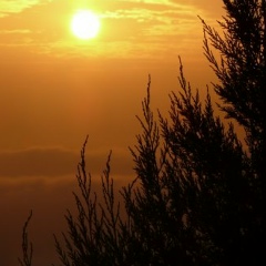 Александр Макеев, 20.02, Киев