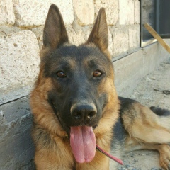 Бекболат Туржанов, 13.02.1985, Жанаозен