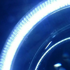 Миша Прокопенко