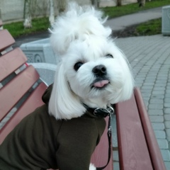 Дарья Марова, Санкт-Петербург