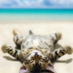 Igor Nogai, 04.07.1993, Москва