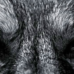 Гриша Желтак, 30.12.1982, Calgary