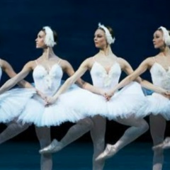 Сергей Шмыренков, 30.04.1986, Фрязино