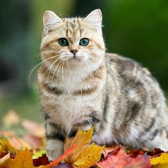 Виктория Омельченко, 22.04, Луганск