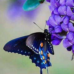 Марина Пряхина, 24.12, Магнитогорск