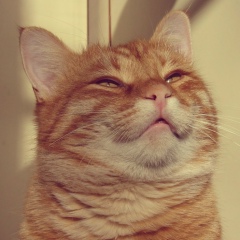 Микита Юртаєв, 13.03, Киев