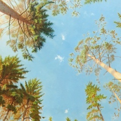 Елена Лукашова, 19.11.1978, Санкт-Петербург