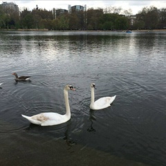 Дамира Мухитова, 12.04.1989, Астана