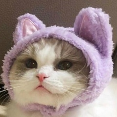 Лиза Fizzies, 15.08