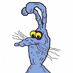 Мистер Бин, Сочи