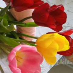 Аклима Оспанова, 02.03