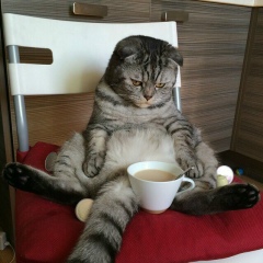 Сергей Нещетный, 08.05, Полтава